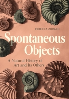Spontaneous Objects: A Natural History of Art and Its Others 0271100435 Book Cover