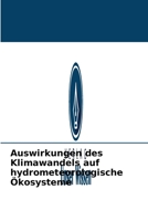 Auswirkungen des Klimawandels auf hydrometeorologische �kosysteme 6204089951 Book Cover