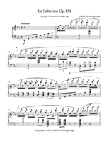 La Saltarina and winter suite B0CSK8X5CY Book Cover