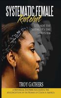 Systematic Female Ratchet: It's not the Sistas, It's the System 1534832874 Book Cover