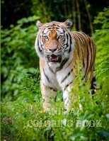 Animal Coloring Book: Actvity Coloring Pages for Kids B08L6QR3JK Book Cover