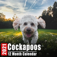 Calendar 2021 Cockapoos: Cute Cockapoos Photos Monthly Mini Calendar With Inspirational Quotes each Month B08DC1P75H Book Cover