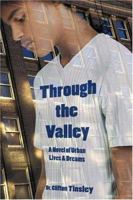 Through the Valley: A Novel of Urban Lives and Dreams 1413711642 Book Cover