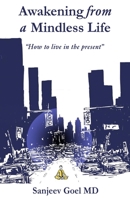 Awakening from a Mindless Life: How to Live in the Present Age B094SFXNK9 Book Cover