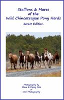 Stallions and Mares of the Wild Chincoteague Pony Herds 1792331614 Book Cover
