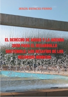 El derecho de aguas y la agenda 2030 para el desarrollo sostenible: los desafíos de los recursos hídricos 8413736943 Book Cover