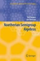 Noetherian Semigroup Algebras 1402058098 Book Cover