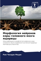 Морфология нейронов коры головного мозга 6204176226 Book Cover