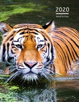 2020 A4 Diary Week To View Planner For All Occasions: - Year Planner For Business, Office, Home, University, College, School, Appointments, Organizer. 1710148217 Book Cover