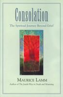 Consolation: The Spiritual Journey Beyond Grief 0827608152 Book Cover