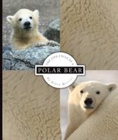 The Life Cycle of a Polar Bear 1609731905 Book Cover