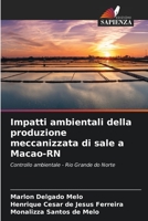 Impatti ambientali della produzione meccanizzata di sale a Macao-RN: Controllo ambientale - Rio Grande do Norte 6206272982 Book Cover