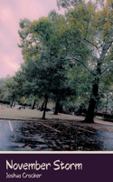 November Storm B0DXPDX4D3 Book Cover