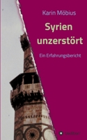 Syrien unzerstört: Ein Erfahrungsbericht 3347317815 Book Cover