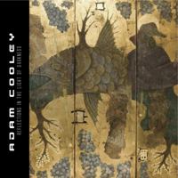 ADAM COOLEY Reflections in the Light of Darkness 0997354208 Book Cover