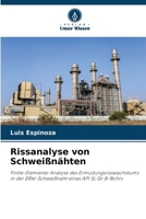 Rissanalyse von Schweißnähten (German Edition) 6207001656 Book Cover
