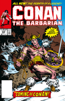 Conan The Barbarian: The Original Comics Omnibus Vol.9 (CONAN THE BARBARIAN OMNIBUS) 1806180472 Book Cover