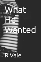 What He Wanted B0FF3G298S Book Cover