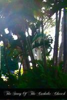 The story of the Catholic church 1466427418 Book Cover