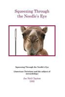 Squeezing Through the Needle's Eye: American Christians and the Subject of Stewardship. 1548712035 Book Cover
