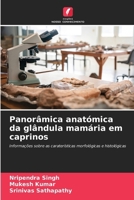 Panorâmica anatómica da glândula mamária em caprinos (Portuguese Edition) 6208261325 Book Cover