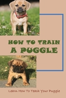 How To Train A Puggle: Learn How To Teach Your Puggle: Puggle Training Tips B09BY5WF98 Book Cover