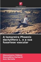 A tamareira Phoenix dactylifera L. e a sua fusariose vascular 6207252470 Book Cover