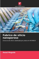 Fabrico de silício nanoporoso (Portuguese Edition) 6206927377 Book Cover