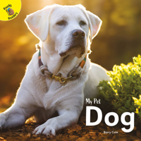 Dog 1731605641 Book Cover