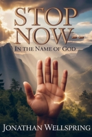 Stop Now—In the Name of God: The Forgotten Command to Rest That Transforms Life in a Restless World 9403870095 Book Cover
