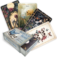 Memento Mori: 36 Cards to Embrace Life 1590035860 Book Cover