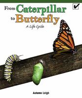 From Caterpillar to Butterfly: A Life Cycle 1435802233 Book Cover