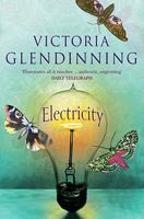 Electricity 0312151179 Book Cover