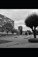 Cœurs Fragiles: Chroniques d’espoirs et de combats silencieux (French Edition) B0FQK3Q9ZV Book Cover