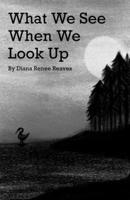 What We See When We Look Up B0CJXG9JQH Book Cover