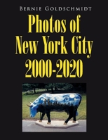 Bernie Goldschmidt Photos of New York City 2000-2020 1098357205 Book Cover