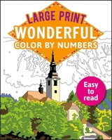 Large Print Color by Numbers Brilliant 1398809500 Book Cover