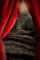 The Curtain 1535085142 Book Cover