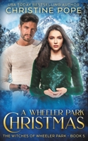 A Wheeler Park Christmas 1946435384 Book Cover