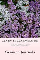 Mary is Marvelous 1500504793 Book Cover