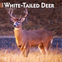White Tailed Deer 2026 12 X 24 Inch (Hanging) Monthly Square Wall Calendar Plastic-Free B0DYLTKR99 Book Cover