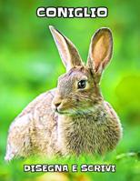 Coniglio: Disegna e Scrivi 1072527294 Book Cover