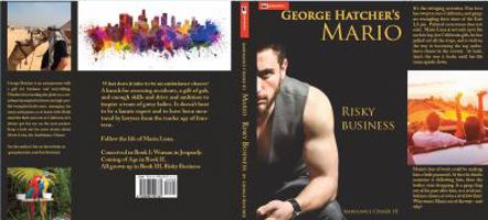 Mario 3: Risky Business 0996592768 Book Cover