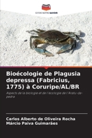 Bioécologie de Plagusia depressa (Fabricius, 1775) à Coruripe/AL/BR (French Edition) 6209046193 Book Cover