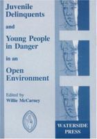 Juvenile Delinquents And Young People in Danger 1872870392 Book Cover