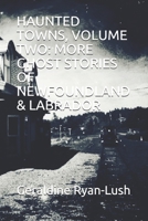 HAUNTED TOWNS, VOLUME TWO: MORE GHOST STORIES OF NEWFOUNDLAND & LABRADOR 1989430066 Book Cover