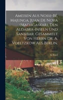 Ameisen Aus Nossi-Be, Majunga, Juan de Nova (Madagaskar), Den Aldabra-Inseln Und Sansibar. Gesammelt Von Herrn Dr. A. Voeltzkow Aus Berlin 1014348609 Book Cover