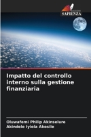 Impatto del controllo interno sulla gestione finanziaria (Italian Edition) 6206968588 Book Cover