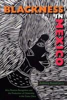 Blackness in Mexico: Afro-Mexican Recognition and the Production of Citizenship in the Costa Chica 0813080126 Book Cover