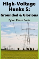 High-Voltage Hunks 5: Grounded & Glorious: Electricity Pylon Photo Book B0GNZ6TKCP Book Cover